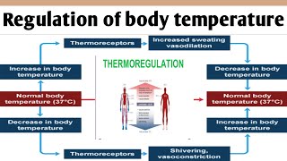 Regulation of body temperature  Thermoregulations  Gnm  bsc nursing  anatomy and physiology [upl. by Lrat]