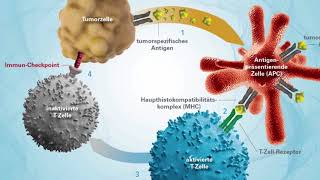 Immuntherapie – Die neusten Entwicklungen  Hirslanden Klinik Aarau [upl. by Vlad900]