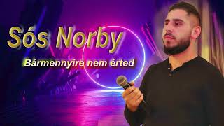 🔥Sós Norby  Bármennyire nem érted  Official Audio 🔥 [upl. by Nahguav]