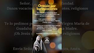 🌌 Elevando Oraciones por la Formación Vocacional Oración por las Vocaciones [upl. by Ennahs]