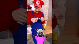 HOLD UP SONIC THAT TOOTHPASTE TUBE’S GOT WORM TRICK IN THERE 😂 DOG REACTS funnyanimals dog [upl. by Graner]