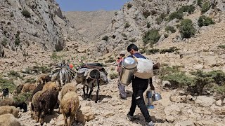 IRAN nomadic life  Migration to the highlands because of grass for sheep  Difficult roads [upl. by Asilat]