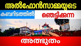 St Alphonsas Tombവിശുദ്ധ അൽഫോൺസാമ്മയുടെ കബറിടം [upl. by Nicolette]