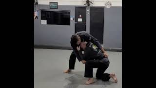 JiuJitsu  Single Leg Básico [upl. by Anahsohs]