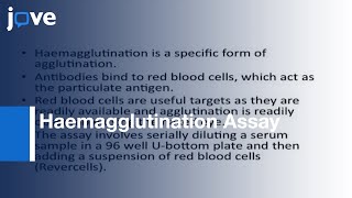 Determining Reactivity amp Titre Of Serum Using Haemagglutination Assay l Protocol Preview [upl. by Bonnell]