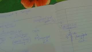 development of tongue embryology [upl. by Nashbar]