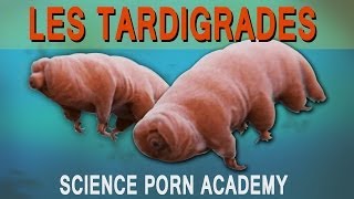 LES TARDIGRADES [upl. by Danila]