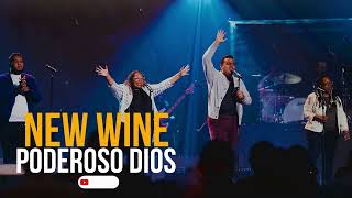 NEW WINE  Poderoso DIOS Mi alma clama por Ti 😭😭 Cover Marcos Witt [upl. by Brendin]