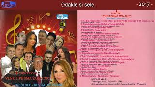 Jelena Brocic  Odakle si sele  LIVE  Audio 2017 [upl. by Otreblasiul]