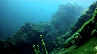 Diving in Lake Baikal [upl. by Aikyt]