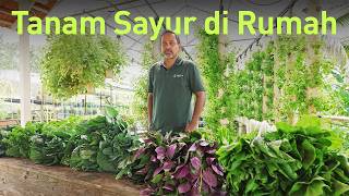 Founder Raja Lawak Tanam Sayur Di Belakang Rumah  Homegrown Farms [upl. by Enovaj278]