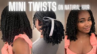 My Mini Twist Routine on Natural Curly Hair  Protective hairstyle No heat No hair added [upl. by Onaireves784]