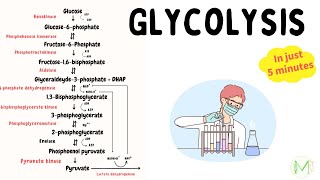 Glycolysis  Made easy in just 5 min  Biochemistry  Medinare [upl. by Harman146]