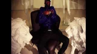 Fally Ipupa  Nyokalessé Clip Officiel [upl. by Serene213]