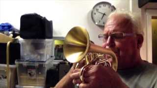 CarolBrass Dizzy Pocket Trumpet [upl. by Gupta986]