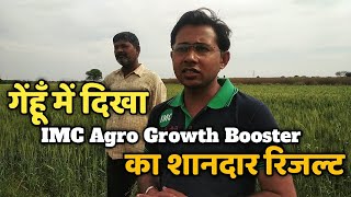 IMC Agro Growth Booster  गेहूं की फसल में आया ऐसा शानदार रिजल्ट जानिए किसान मित्र से [upl. by Larson31]