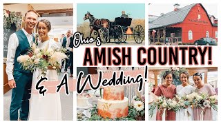 What We Did in Holmes County  Wedding Day  Week In the Life of a Mennonite Family [upl. by Koralie]