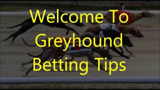 Greyhound Racing Betting Tips 5 [upl. by Ariec]