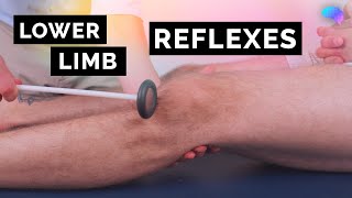 Reflexes of the Lower Limbs  OSCE Clip  UKMLA  CPSA [upl. by Arualana]