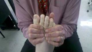 Distal Metatarsal Joint Mobilization [upl. by Nayek991]