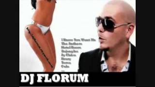 Dj Florum  Attak 2 Pitbull Megamix [upl. by Leonardi]