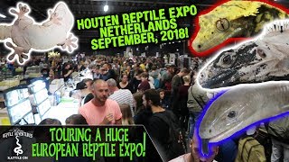 TOURING A HUGE EUROPEAN REPTILE EXPO Houten Reptile Expo September 2018 [upl. by Artemisa674]