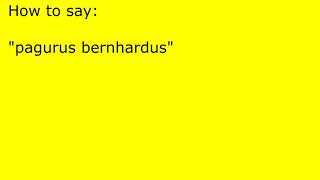 How to pronounce pagurus bernhardus [upl. by Marisa]