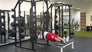 Inverted Row Iso Hold [upl. by Red]