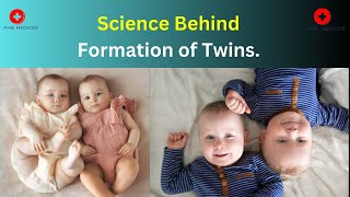 Science Behind Formation of Twins [upl. by Edan]