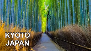 4K KYOTO JAPAN  Kyoto Arashiyama Bamboo Forest Walking Tour  京都嵐山 2021 [upl. by Verla]