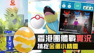 【香港實測】團體戰開放至25等級！實測捕捉頭目小精靈 Pokemon Go 攻略 [upl. by Myrt]