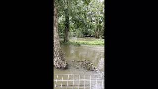 Flooding in Abingdon Oxfordshire [upl. by Mayce]