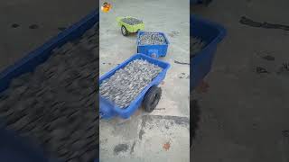 black stone carry by rc tractor trolly working howtomaketoytractor howtomakediytractor diy [upl. by Croix]