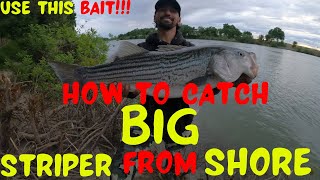 Sacramento River Striper Fishing How To Catch Bigger Striper [upl. by Nai]