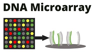 DNA Microarray DNA chip technique [upl. by Htrag748]