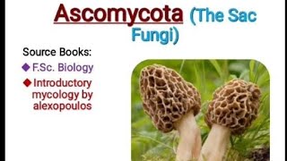 Ascomycota the sac fungi introductory mycology fungi [upl. by Heilman]