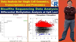 Bisulfite Sequencing Data Analysis Differential Methylation Analysis at CpG Loci [upl. by Eimar780]