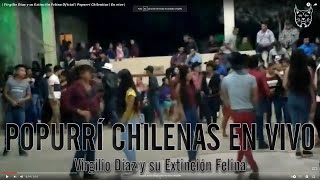 Virgilio Díaz y Su Extinción Felina – Popurrí Chilenitas En Vivo – Baile [upl. by Ykcaj211]