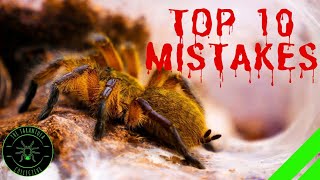 TOP 10 Mistakes Keeping Tarantulas amp Spiders  DONT DO THIS [upl. by Anelhtak]