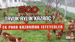 500 TAVUK AYLIK NE KADAR PARA KAZANDIRIR [upl. by Einegue]