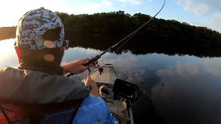 Fishing with ProCure Super Gel Scent  Rhett Gill on the Bream [upl. by Karen]