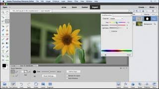 Photoshop Elements Tutorial  Selections and the selection tools [upl. by Nueovas95]