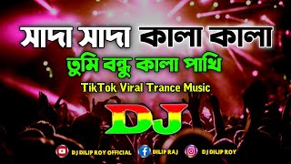 Shada Shada Kala Kala Dj  সাদা সাদা কালা কালা  Hawa  TikTok  Viral Trance Music  Dj Dilip Roy [upl. by Annavoj702]