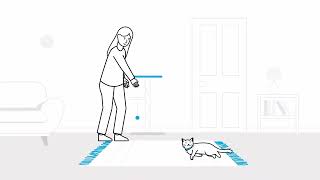 How to set up your home for a new cat  The Battersea Way [upl. by Tallbot]