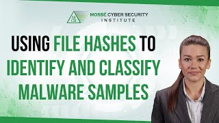 Using file hashes to identify and classify malware samples [upl. by Aihselef834]