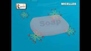 Soap Micelles Formation  Science [upl. by Rhu]