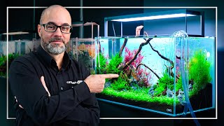 A Perfect Tutorial to Start Your FIRST Planted Aquarium [upl. by Euphemiah678]