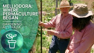 Melliodora – The birthplace of permaculture  Urban Farming  Gardening Australia [upl. by Schuler334]