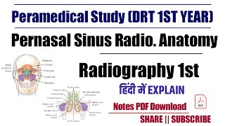 Paranasal Sinus Radiography Anatomy  drt 1st year classes [upl. by Elnore]