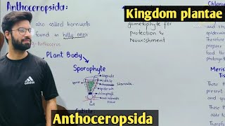 Anthoceropsida Characteristics  Hornworts  Life Cycle [upl. by Sholem]